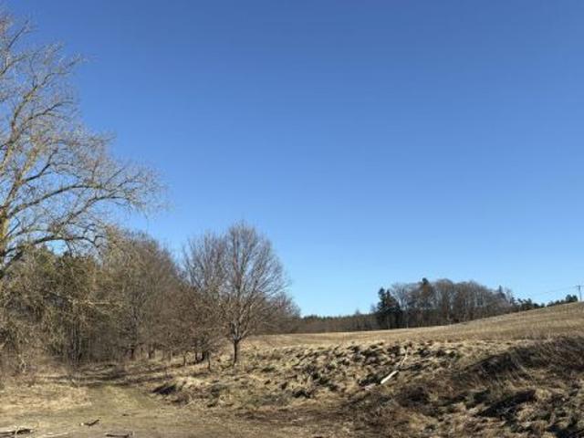 Bezpośrednio, Wrzeście, 1741 m² Działka