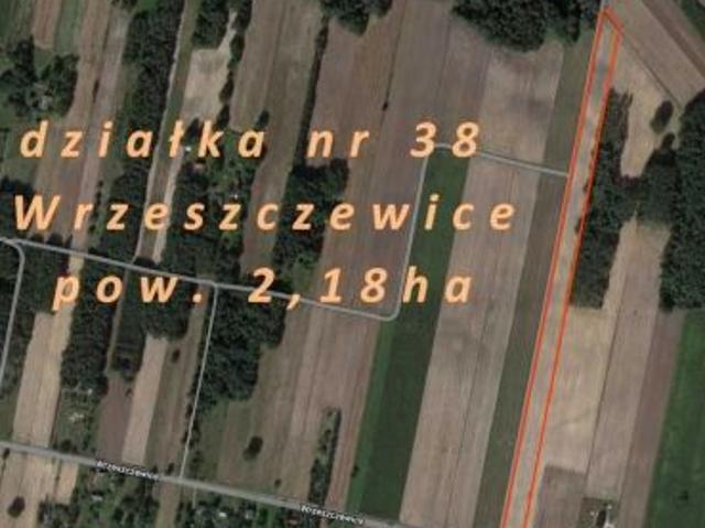 Bezpośrednio, Wrzeszczewice Nowe, 21800 m² Działka