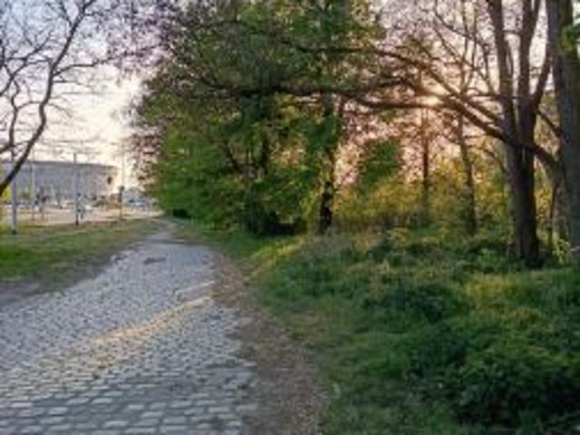Bezpośrednio, Wrocław, Fabryczna, ul. Pilczycka, 10010 m² Działka