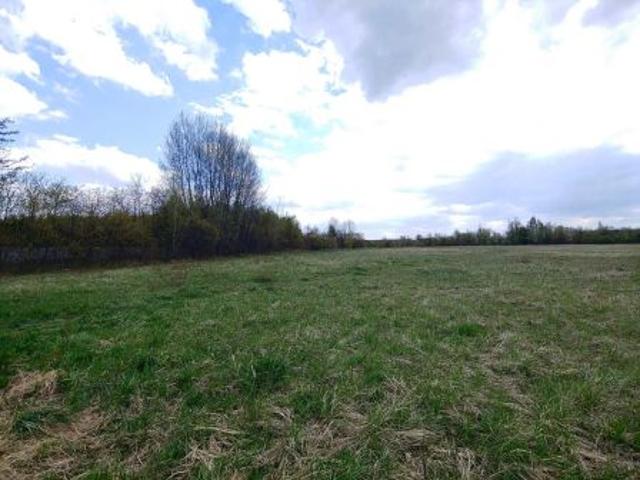 Bezpośrednio, Wrocław, Psie Pole, ul. Strażacka, 14600 m² Działka