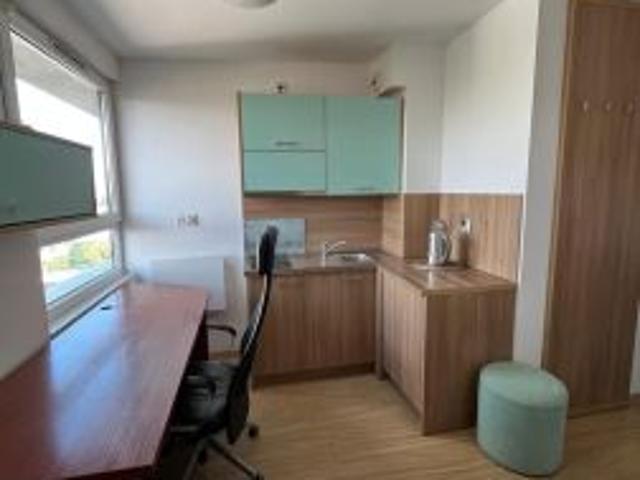 Bezpośrednio, Wrocław, Śródmieście, wyb. Ludwika Pasteura, 13 m² Mieszkanie