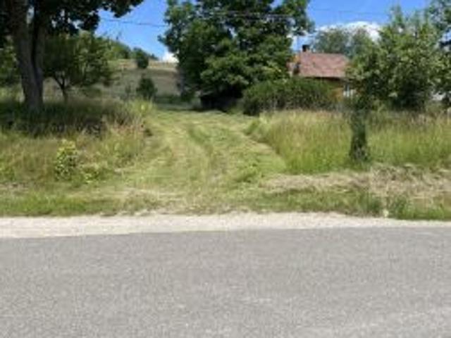 Bezpośrednio, Wujskie, 10023 m² Działka