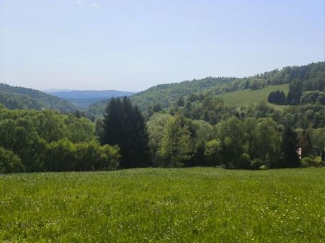 Bezpośrednio, Wujskie, 3000 m² Działka