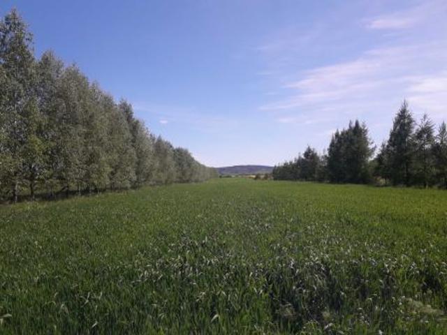 Bezpośrednio, Wybrzeże, 14100 m² Działka