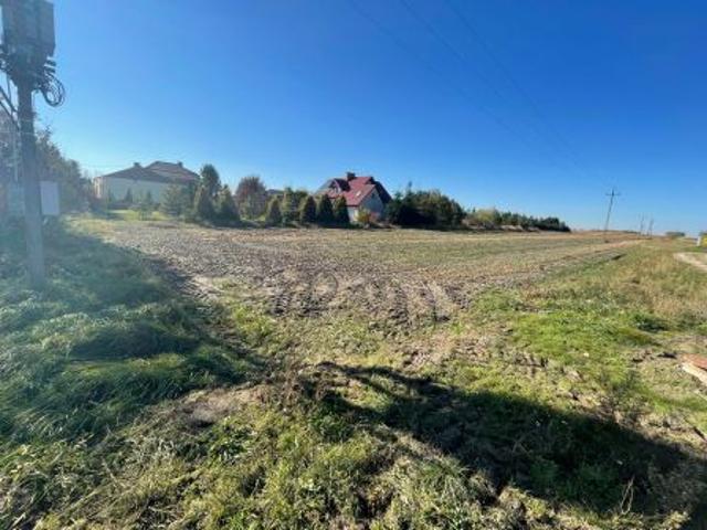 Bezpośrednio, Wygoda, 2900 m² Działka