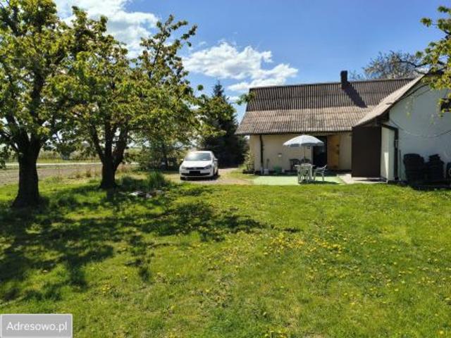 Bezpośrednio, Wygoda, 36700 m² Działka