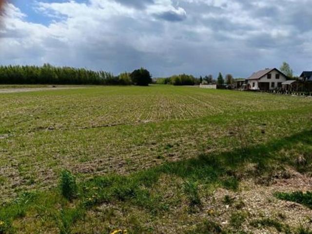 Bezpośrednio, Wygnanów, 6200 m² Działka