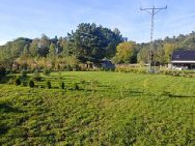 Bezpośrednio, Wyszewo, 1500 m² Działka