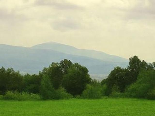 Bezpośrednio, Wyszki, 14000 m² Działka