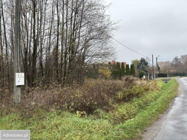 Bezpośrednio, Tłuszcz, ul. Zakrzewie, 1963 m² Działka