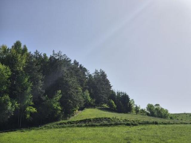 Bezpośrednio, Łętowe, 10500 m² Działka