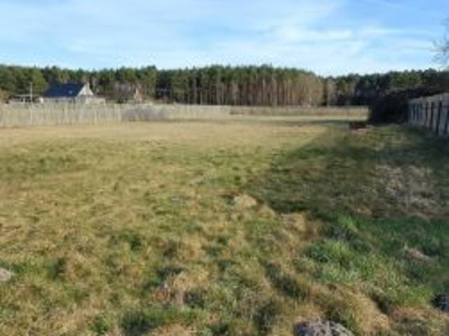 Bezpośrednio, Toczeń, 3000 m² Działka