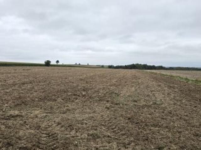 Bezpośrednio, Tokarówka, 25000 m² Działka