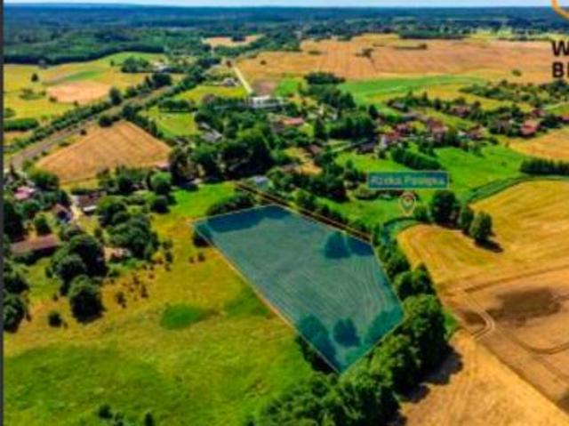 Bezpośrednio, Tomaryny, 8043 m² Działka