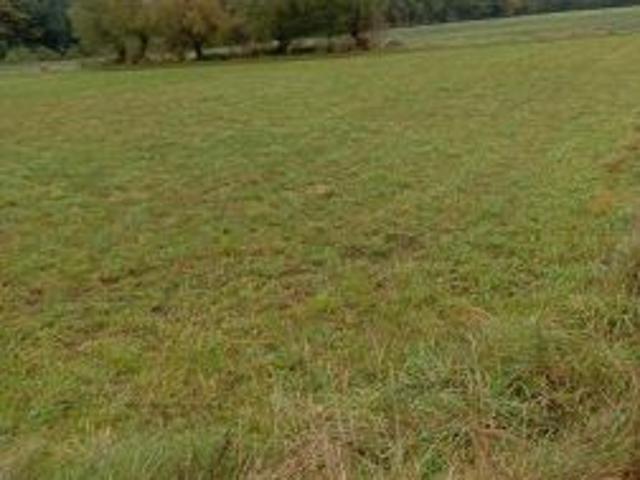 Bezpośrednio, Tomaszewo, 600 m² Działka
