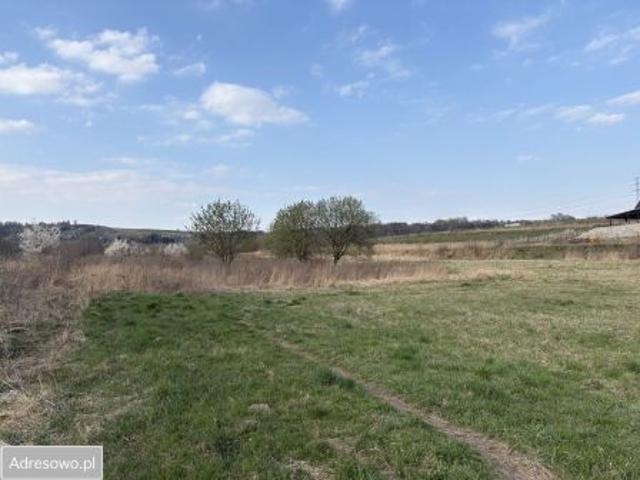 Bezpośrednio, Tomaszowice, 3000 m² Działka