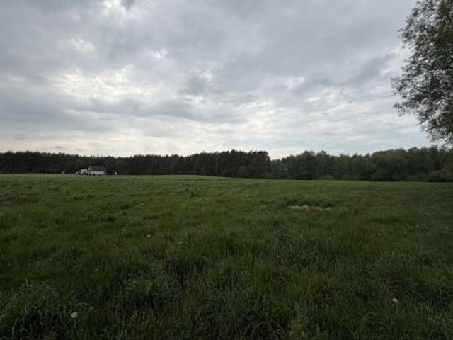 Bezpośrednio, Tomki, 5800 m² Działka