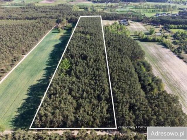 Bezpośrednio, Tomice, 32600 m² Działka