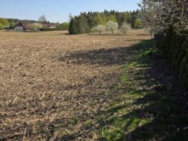 Bezpośrednio, Toporzysko, 1100 m² Działka
