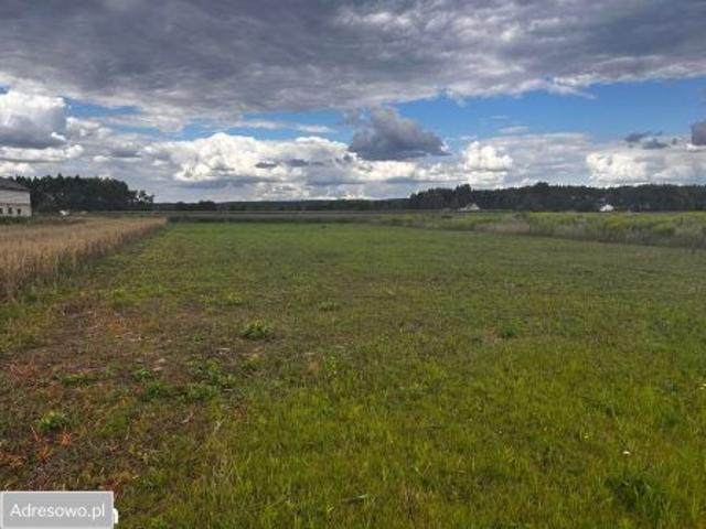 Bezpośrednio, Toporzysko, 1514 m² Działka
