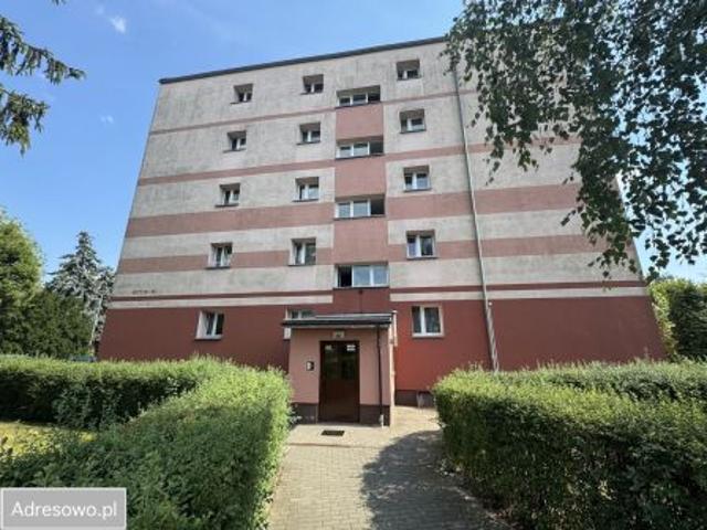 Bezpośrednio, Toruń, Chełmińskie Przedmieście, ul. Jana Matejki, 45 m² Mieszkanie