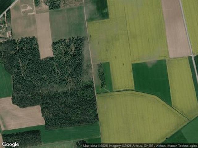 Bezpośrednio, Tabędz, 3000 m² Działka