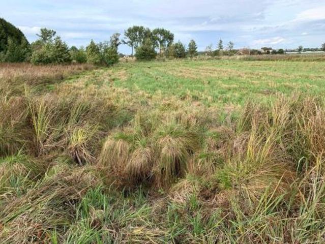 Bezpośrednio, Tabor Wielki, 4300 m² Działka