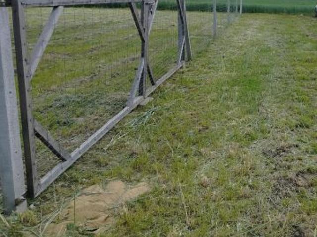 Bezpośrednio, Tarchały Wielkie, ul. Krotoszyńska, 781 m² Działka