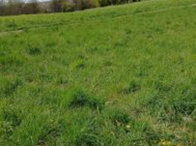 Bezpośrednio, Tarnów, Grabówka, 10013 m² Działka