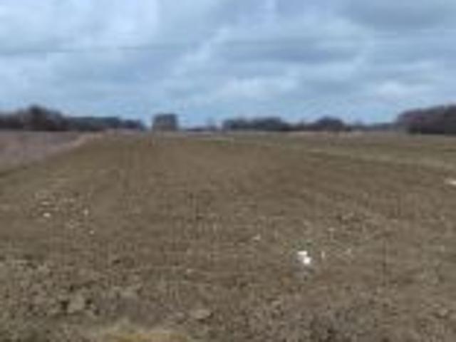 Bezpośrednio, Tarnów, Klikowa, ul. Cedrowa, 3000 m² Działka