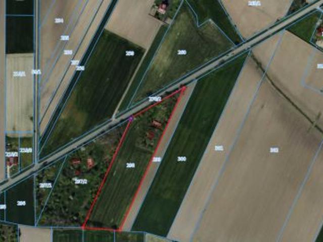 Bezpośrednio, Tarnówka, 17900 m² Działka