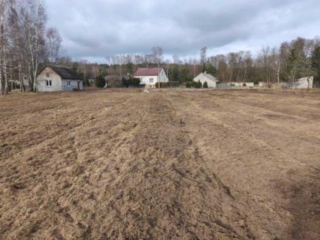 Bezpośrednio, Tarnawa Góra, 5000 m² Działka