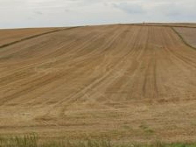 Bezpośrednio, Tarnawatka, 31770 m² Działka
