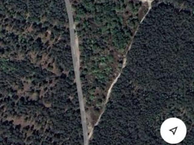 Bezpośrednio, Telążna Leśna, 9800 m² Działka