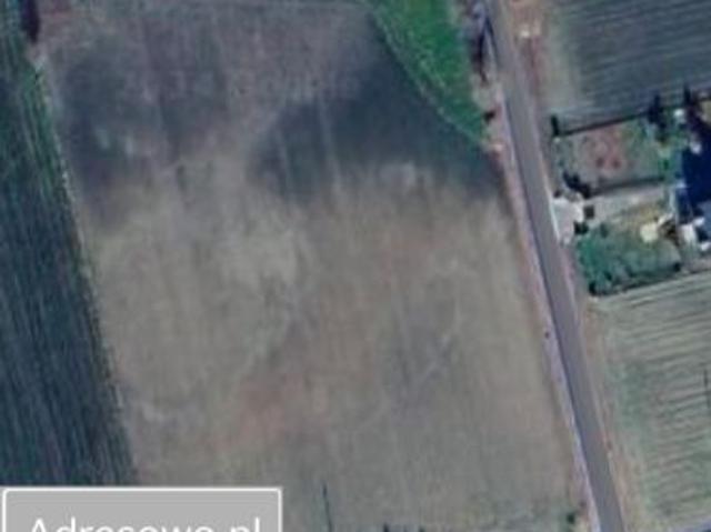 Bezpośrednio, Terebela, 1235 m² Działka