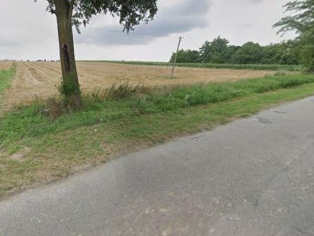 Bezpośrednio, Terebiniec, 33100 m² Działka