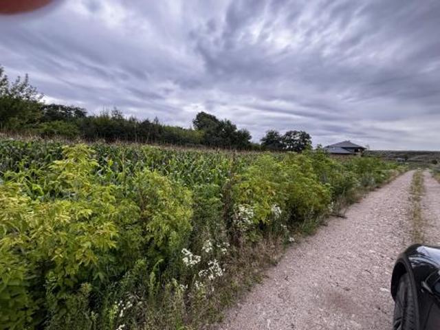 Bezpośrednio, Teresin, ul. Sarnia, 1200 m² Działka