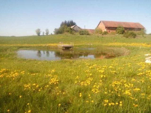 Bezpośrednio, Trygort, 990 m² Działka