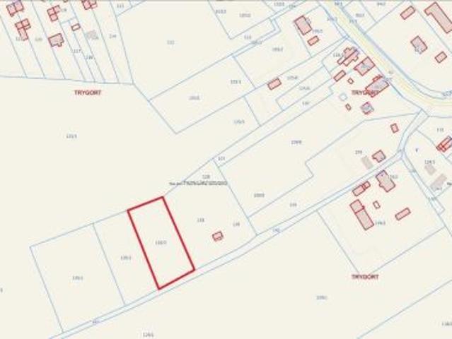 Bezpośrednio, Trygort, 3269 m² Działka