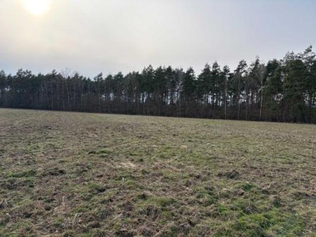 Bezpośrednio, Tryszczyn, ul. Jałowcowa, 3000 m² Działka