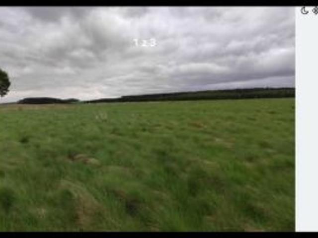 Bezpośrednio, Trzęsów, 1490 m² Działka