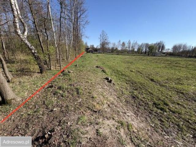 Bezpośrednio, Trzciana, 2193 m² Działka