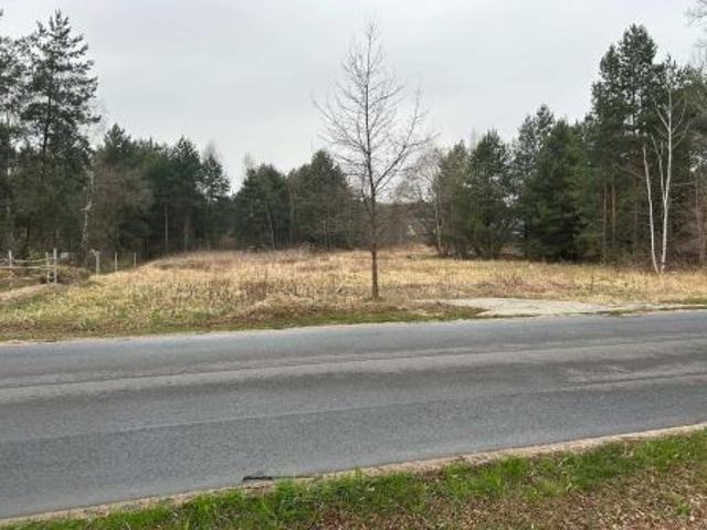 Bezpośrednio, Trzcianka, ul. Łomnicka, 1580 m² Działka