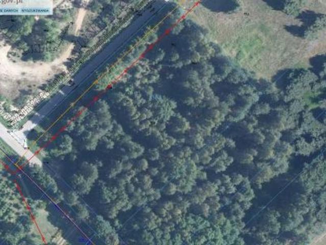 Bezpośrednio, Trzcianki, 5310 m² Działka