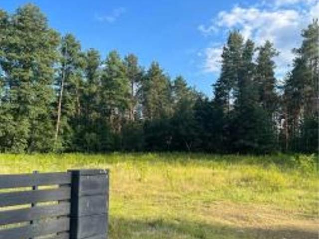 Bezpośrednio, Trzcinka, 1250 m² Działka