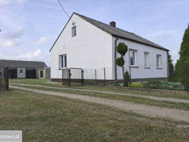 Bezpośrednio, Trzaski, 90 m² Dom
