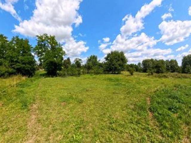 Bezpośrednio, Trzebuska, 6500 m² Działka