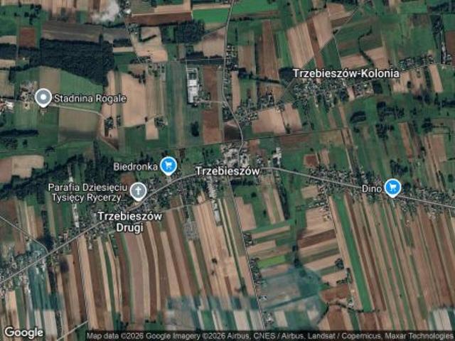 Bezpośrednio, Trzebieszów, 1199 m² Działka