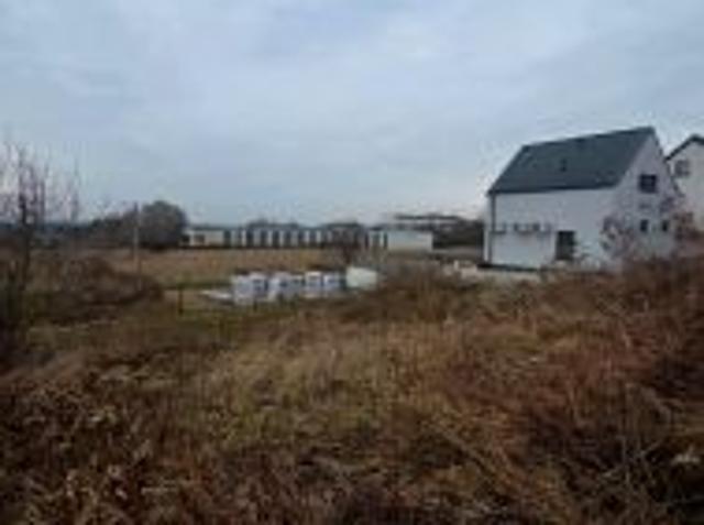 Bezpośrednio, Trzebnica, ul. Fiołkowa, 535 m² Działka