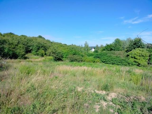 Bezpośrednio, Trzebnica, 1200 m² Działka